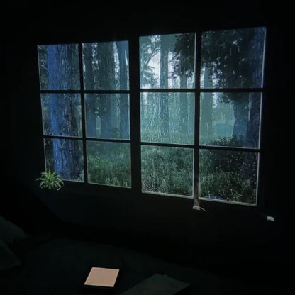 MinaVision™ - Atmosfer Projektörü